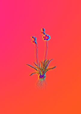 Neon Florals Illustration