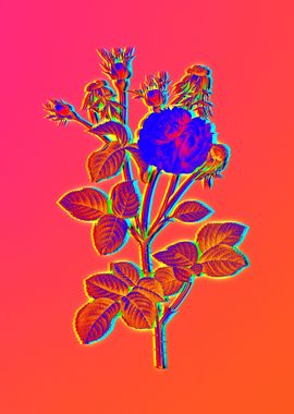 Neon Botanical Drawing