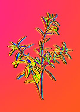 Bright Pink Neon Botanical