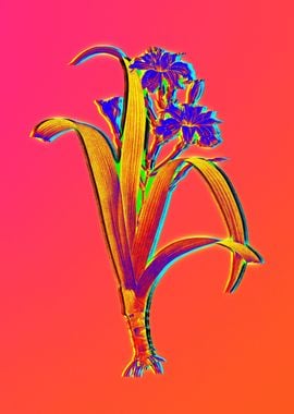 Neon Botanical Drawing