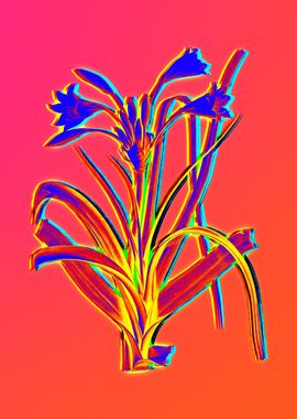 Pink Neon Blue Botanical