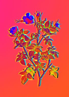 Pink Neon Pop Art Flower