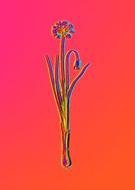 Neon Botanical Drawing