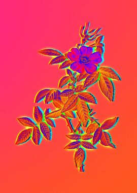 Neon Flower Illustration