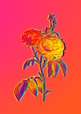 Neon Flowers Illustration