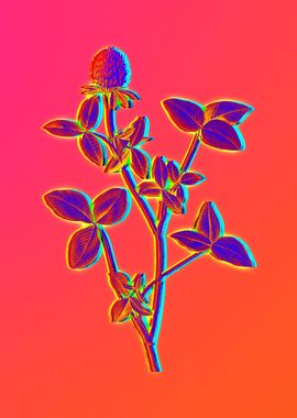 Neon Botanical Drawing