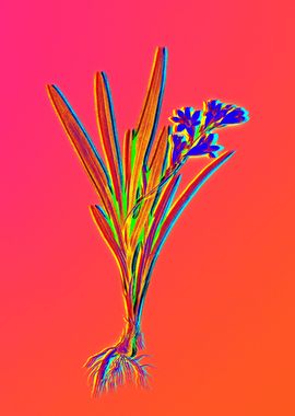 Neon Floral Illustration