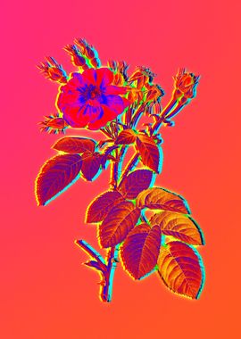 Neon Botanical Drawing