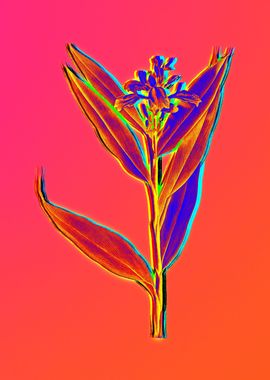 Neon Floral Illustration