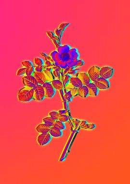 Pink Neon Pop Art Flower