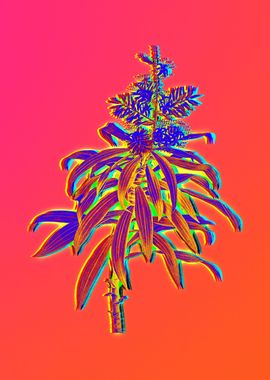 Neon Flower Painting