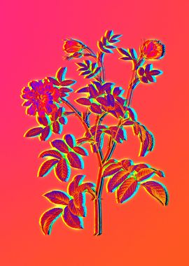 Neon Flora Illustration