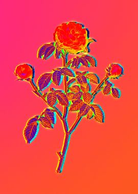 Neon Flower Illustration