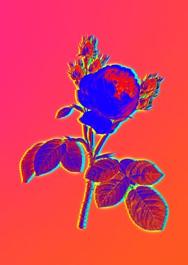 Neon Flower Illustration