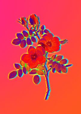 Neon Floral Illustration