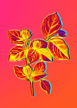 Neon Botanical Flower