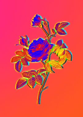 Pink Neon Pop Art Flower