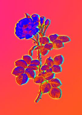 Neon Floral Illustration