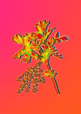 Neon Botanical Drawings