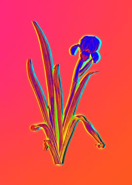 Neon Flowers Illustration