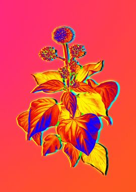 Neon Botanical Flowers