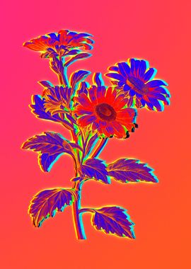 Neon Flowers Illustration