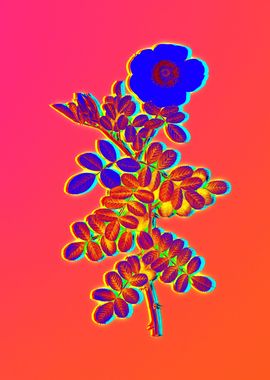 Neon Botanical Drawing