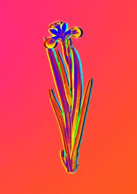 Neon Floral Illustration