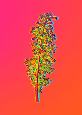 Neon Floral Illustration