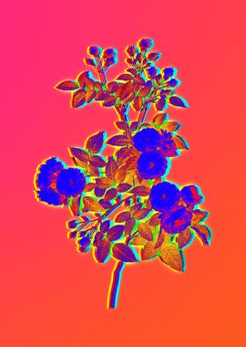 Neon Flower Illustration