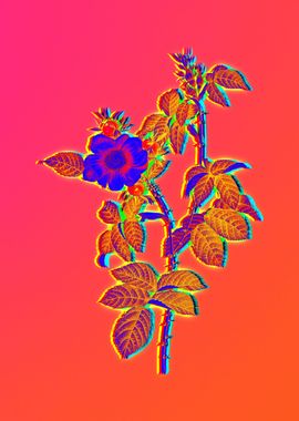 Neon Botanical Drawing