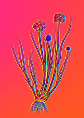 Neon Flower Illustration