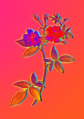 Neon Floral Illustration