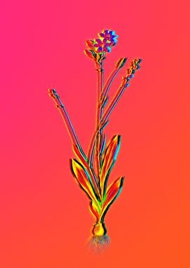 Neon Flower Illustration