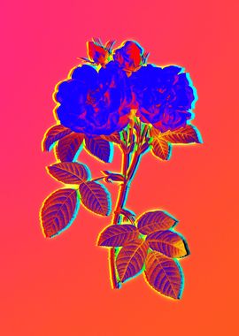 Neon Florals Illustration