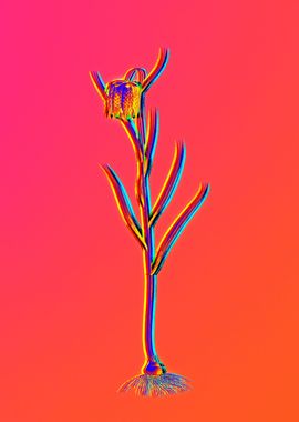 Pink Neon Flower Drawing