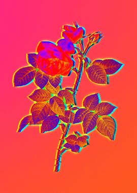 Neon Flower Illustration