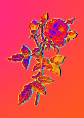 Neon Flowers Illustration