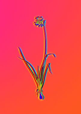 Neon Flower Illustration