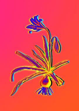 Neon Flower Illustration