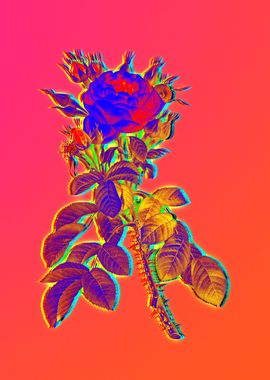 Pink Neon Blue Botanical