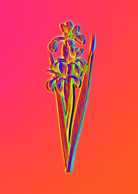 Neon Florals Illustration