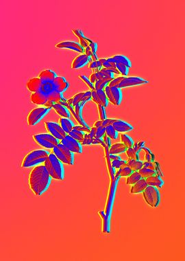 Pink Neon Rainbow Floral