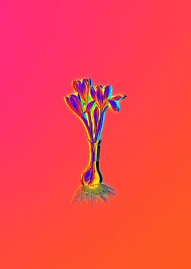 Neon Floral Illustration