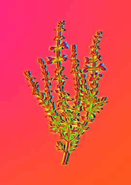 Neon Botanical Flower