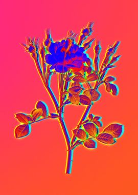 Neon Floral Illustration