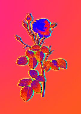 Neon Flowers Illustration