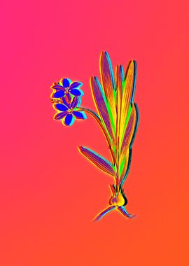 Neon Flower Illustration