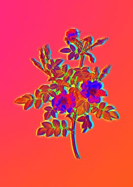 Pink Neon Pop Art Flower