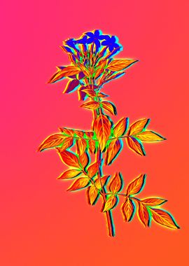 Neon Floral Illustration